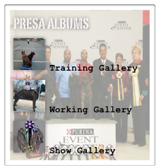 Presa albums
￼

Training Gallery￼

Working Gallery
￼

Show Gallery